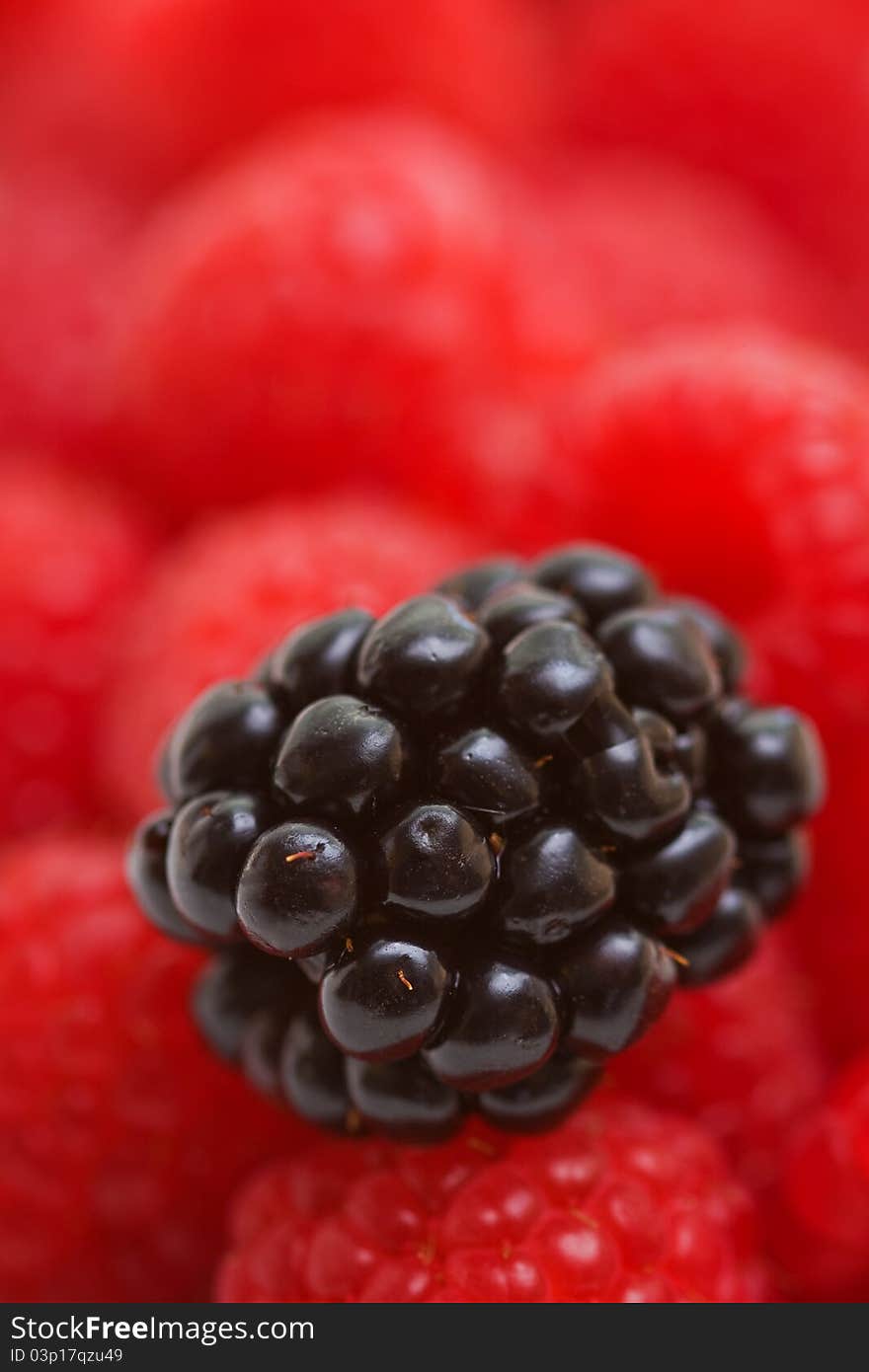 Berries