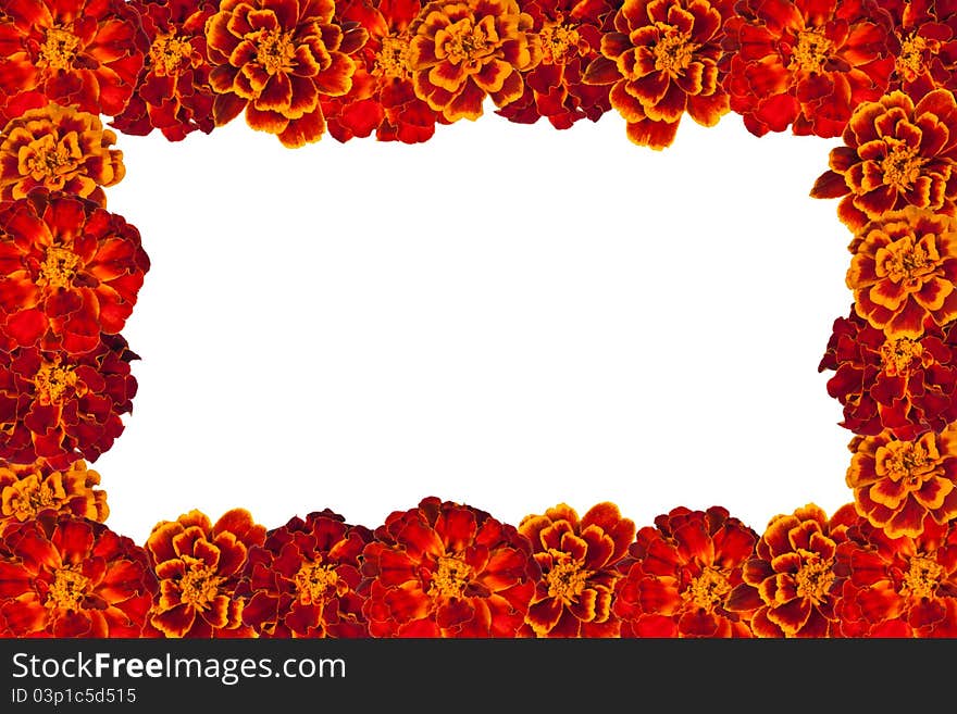 Frame made of spring flowers. Frame made of spring flowers.