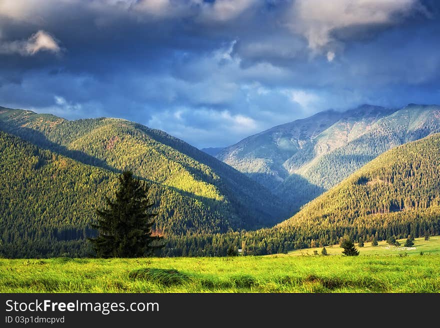 Autumn evening on a meadow with hills and forest in background. Autumn evening on a meadow with hills and forest in background