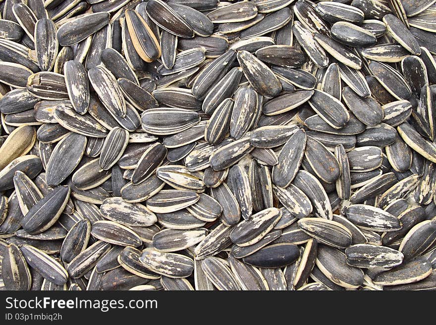 A bulk of sunflower grains. A bulk of sunflower grains.