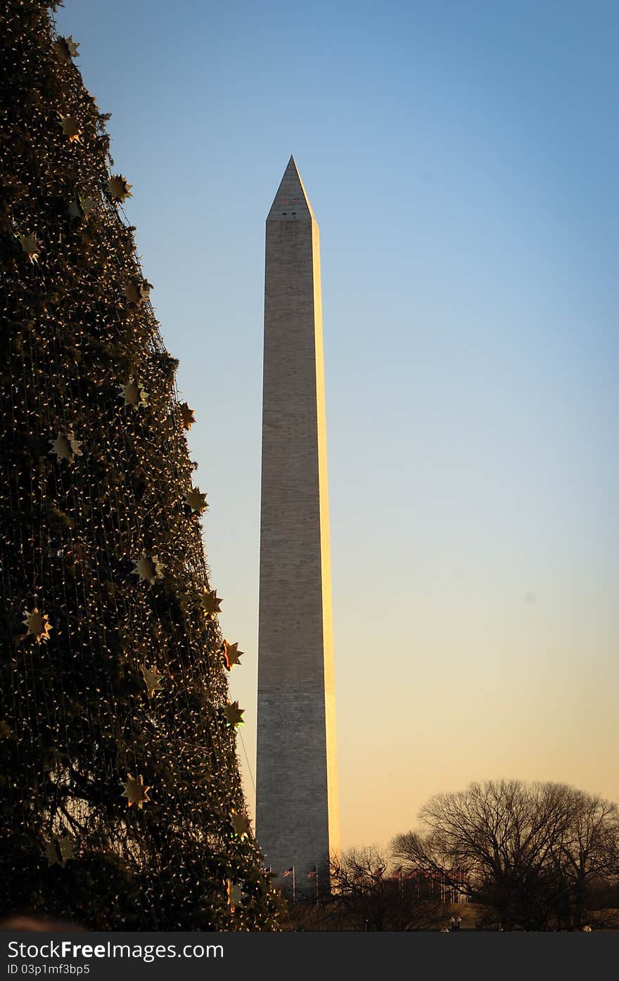 National Christmas tree and Washington monument