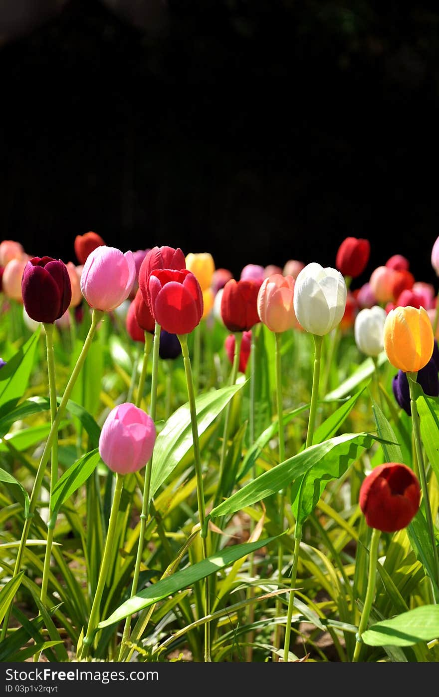 A Fabric Tulip