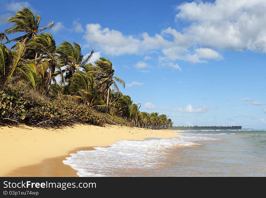 Paradise Beach