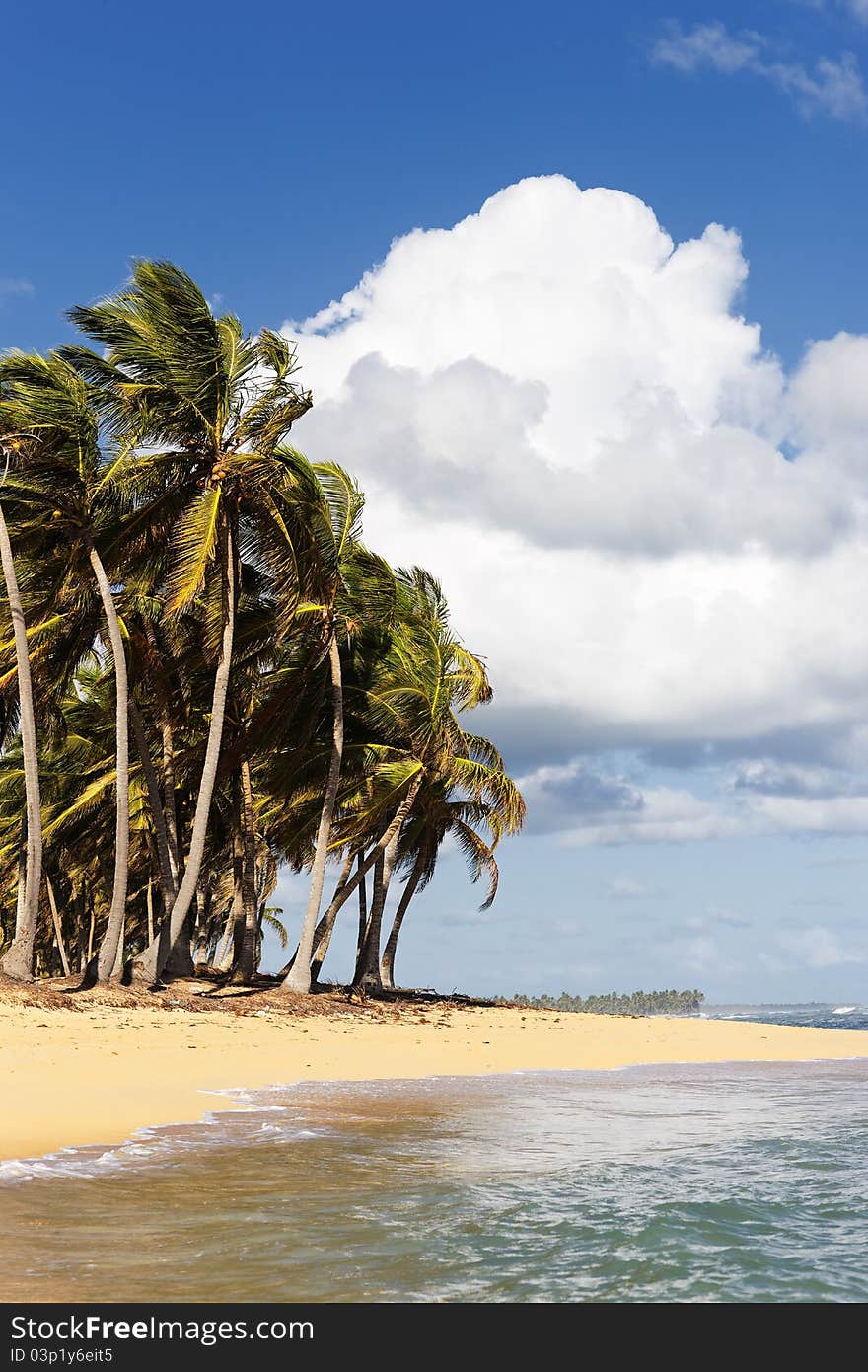 Vertical beach