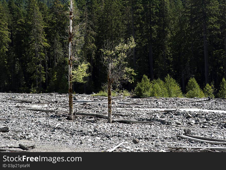 Rocky river bed