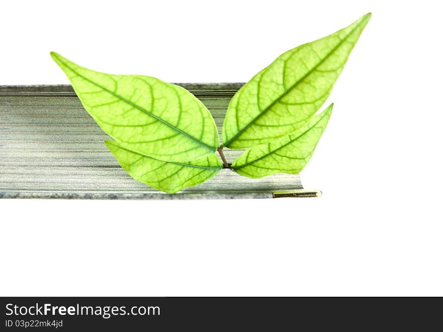 A book with a green leaf.