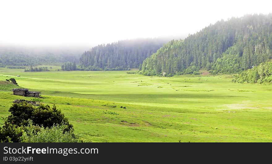 Lone Shack in valley