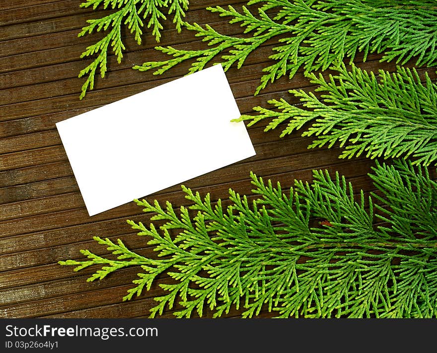 Blank Card And Branch Of Fir- Tree On Wooden