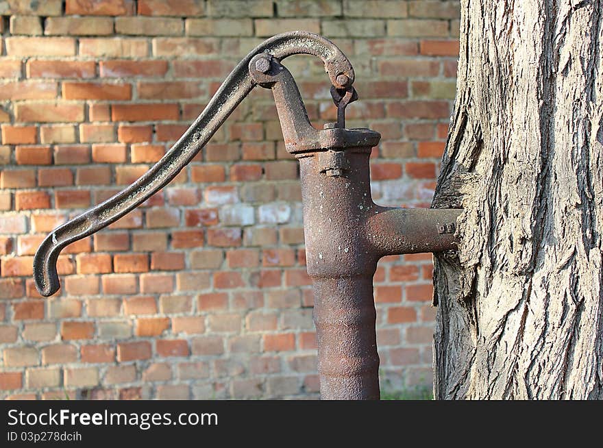 A closeup shot of a retro water pump growing into a tree. A closeup shot of a retro water pump growing into a tree