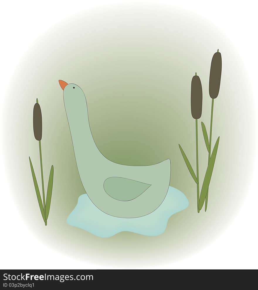 Illustration Of Duck