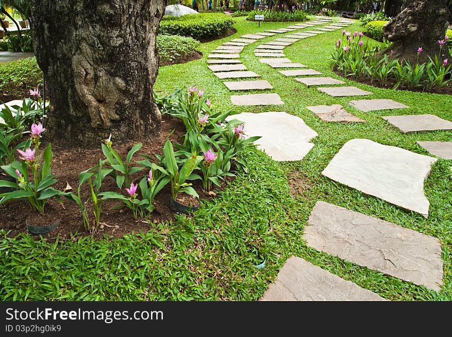 Stone walkway on green grass in the park. Stone walkway on green grass in the park