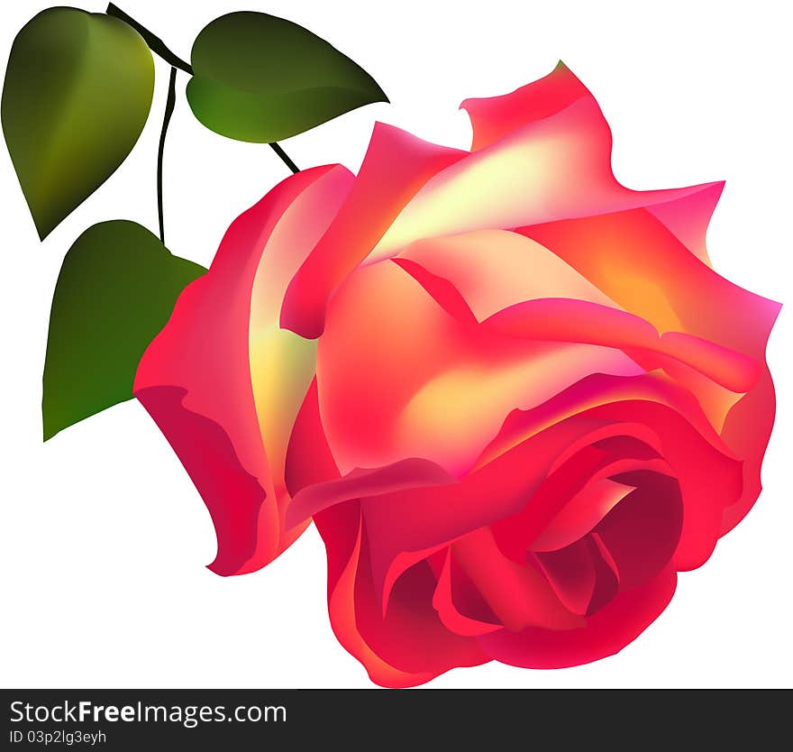 Red rose with green leaves. Red rose with green leaves