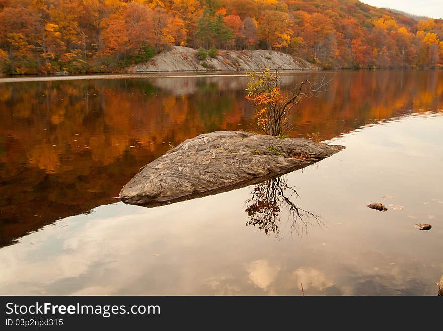 Beautiful Fall Colors In The Forest Lake.