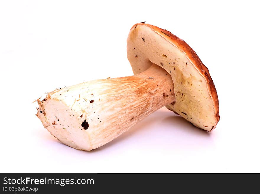 Color photo of wild mushrooms. Color photo of wild mushrooms