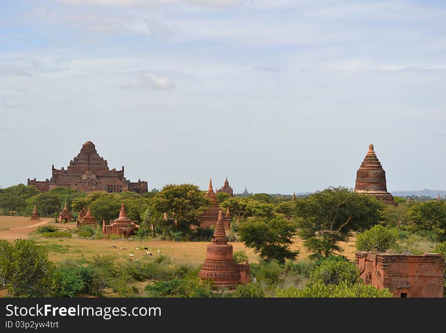 Pagodas In Bagan