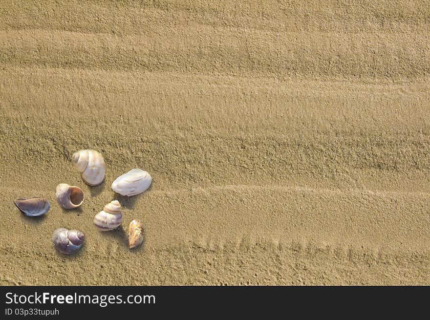 From sand yellow with cockleshells. From sand yellow with cockleshells