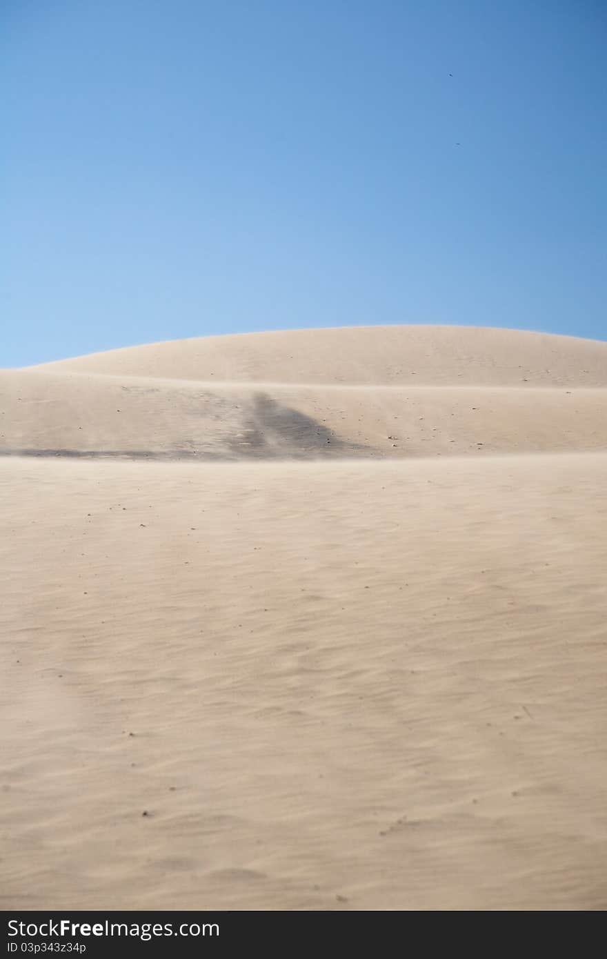 Dune with wind storm