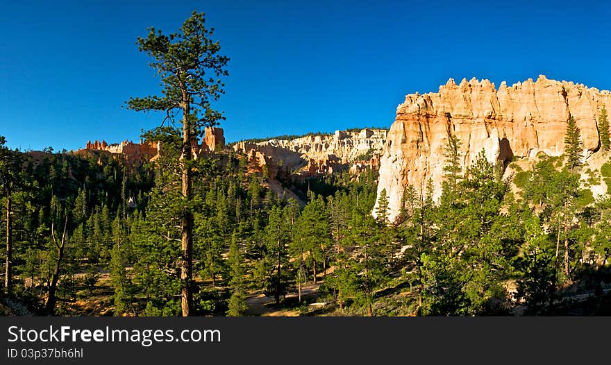 Hoodoos in the Valley of the Pines