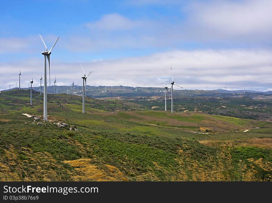 Several Aeolian Windmills - Meadas (hanks) Sierra