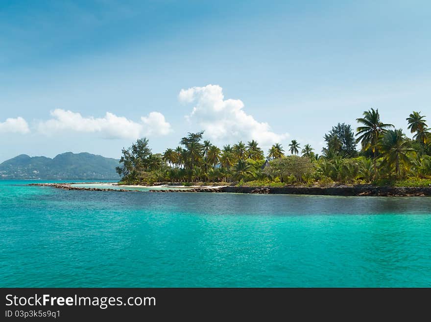 Tropical Coconut palm tree's entrance to an island in the middle of the sea. Tropical Coconut palm tree's entrance to an island in the middle of the sea