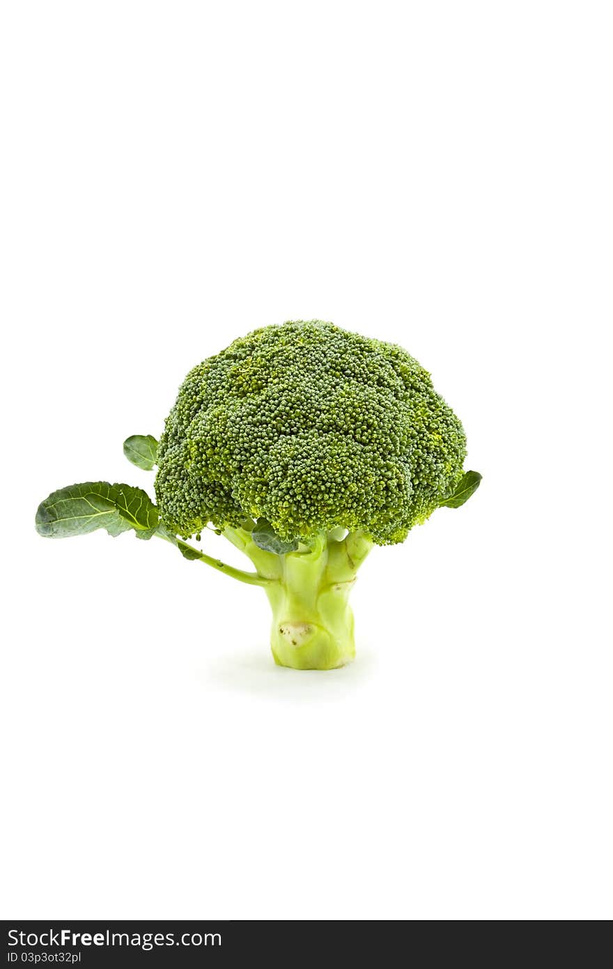 Broccoli