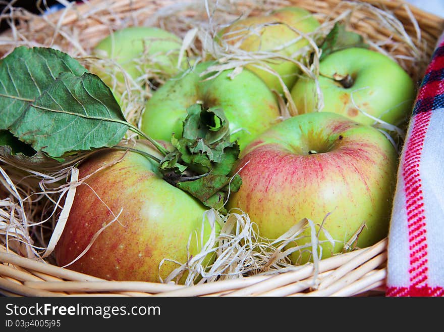 Harvest Of Aplles