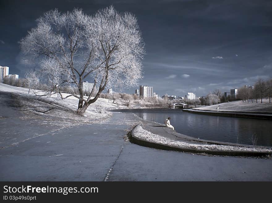 City, Tree, River