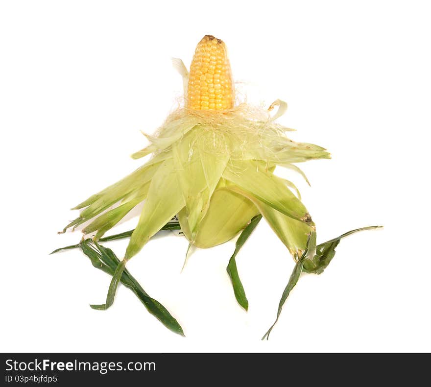 Ear of corn