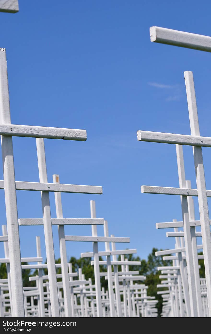 Crosses in a public park on a memorial day event. Crosses in a public park on a memorial day event.