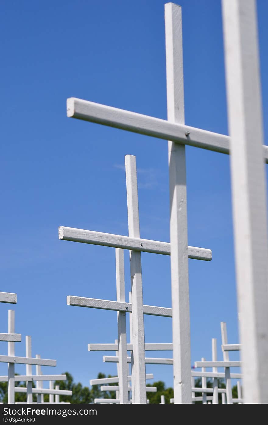 Crosses in a public park on a memorial day event. Crosses in a public park on a memorial day event.