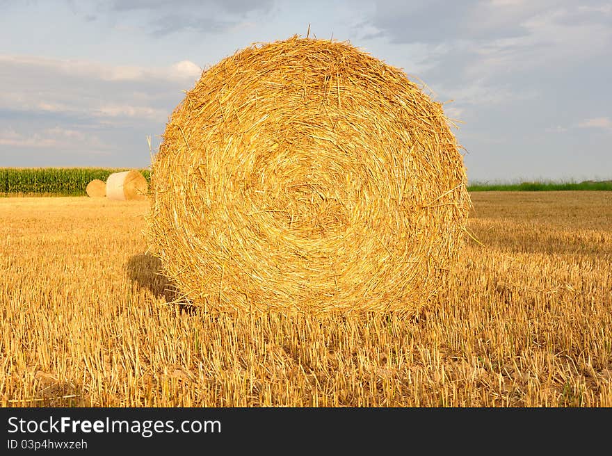 Golden hay bale on a field. Golden hay bale on a field.