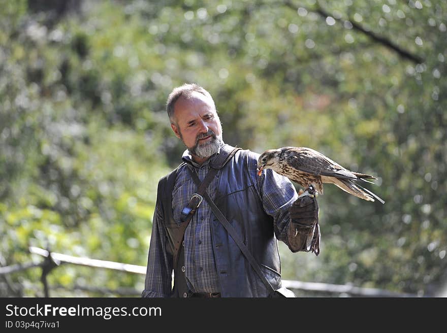 Men carrying a falcon on his arm,Falconry Harz,Saxony Anhalt,Germany. Men carrying a falcon on his arm,Falconry Harz,Saxony Anhalt,Germany.