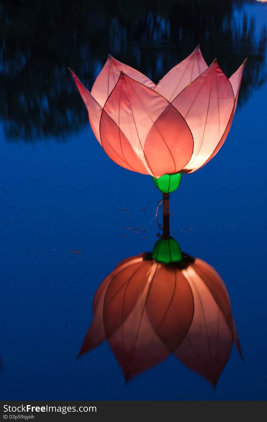 Lotus light reflection in pond. Lotus light reflection in pond