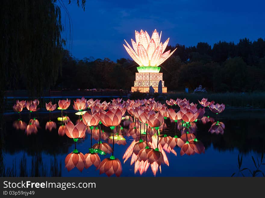 Lotus light reflection in pond. Lotus light reflection in pond