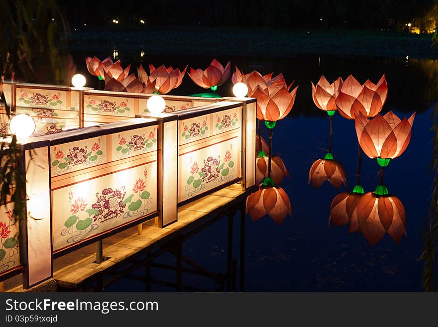 Lotus light reflection in pond. Lotus light reflection in pond