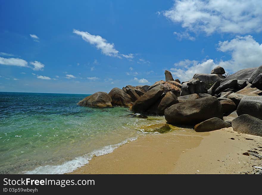 Coconut plantation on samui island, Thailand