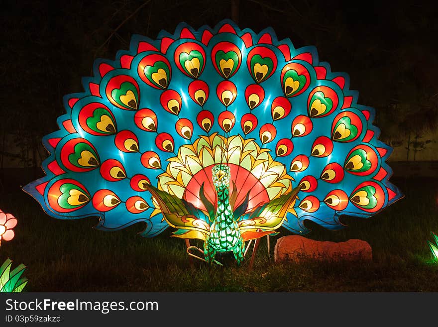 Peacock light in the park