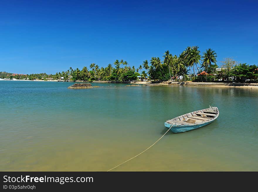 Boat in sea with coconut plantation background, Samui island, Thailand