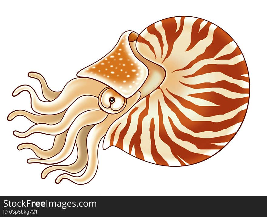 Nautilus cartoon illustration for kids.