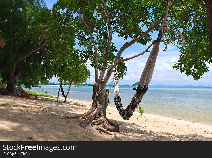 Hamock on beach ,Samui island,Thailand