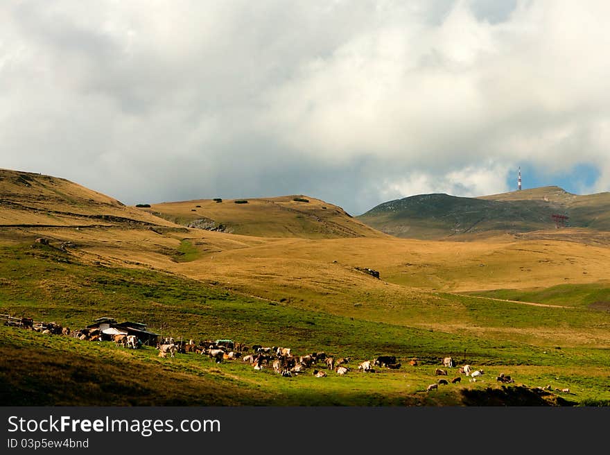 Landscape Of Bucegi Mountains In Romania