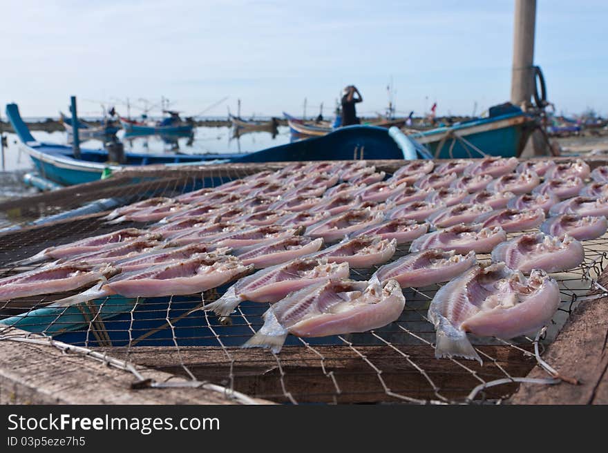 Making dried fish  by the beach