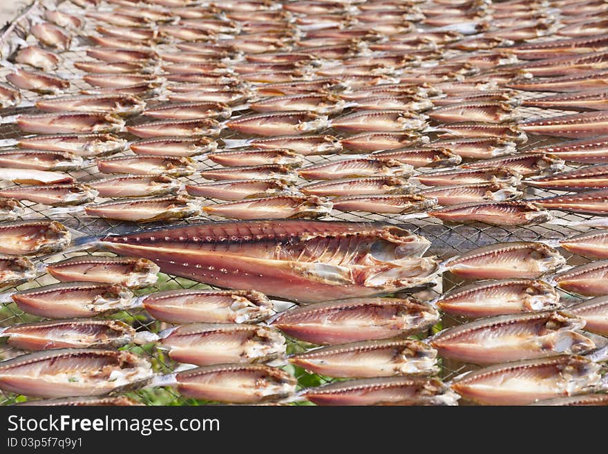 Making dried fish at fisherman village by the beach. Making dried fish at fisherman village by the beach