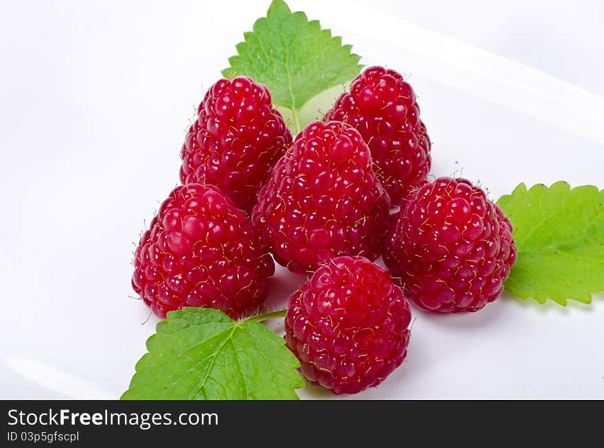 Raspberry (Rubus idaeus)