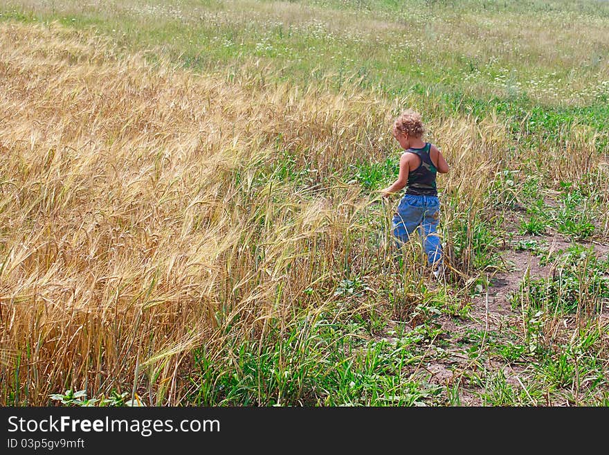 Boy on a field of wheat