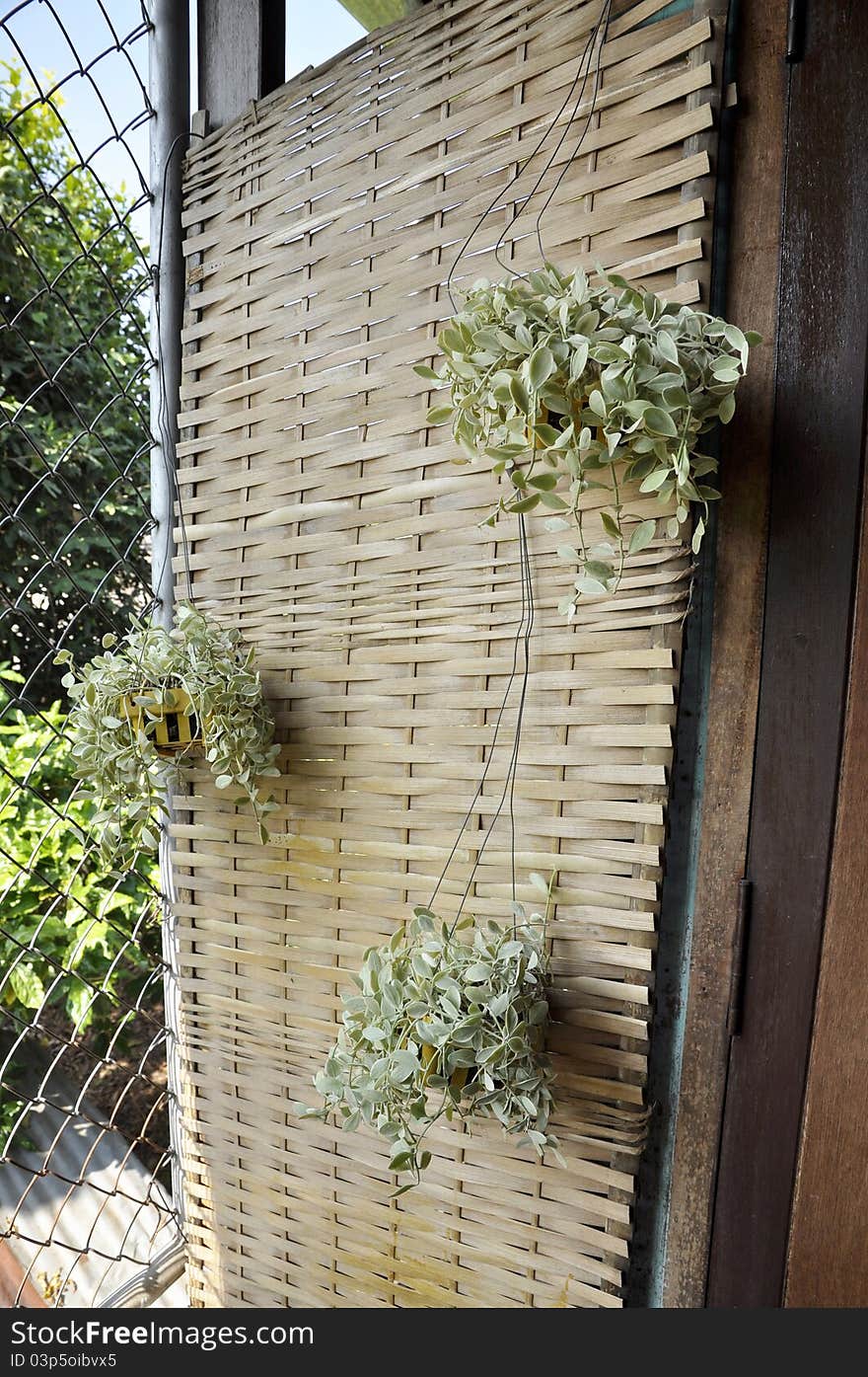 Plant Hang Decoration Pattern Weave