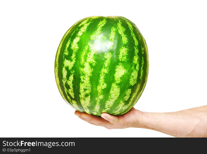 Watermelon In Hand