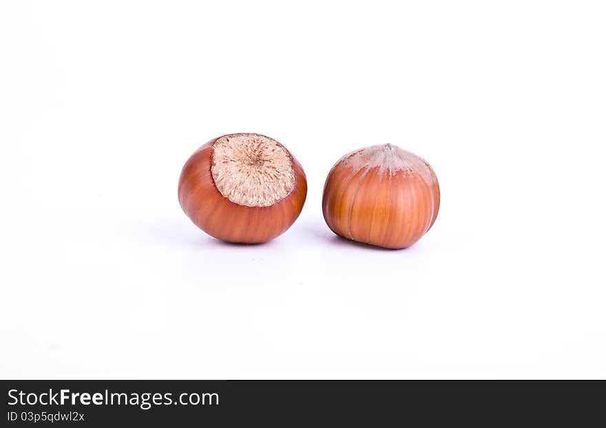 Two fresh brown hazelnuts on white background