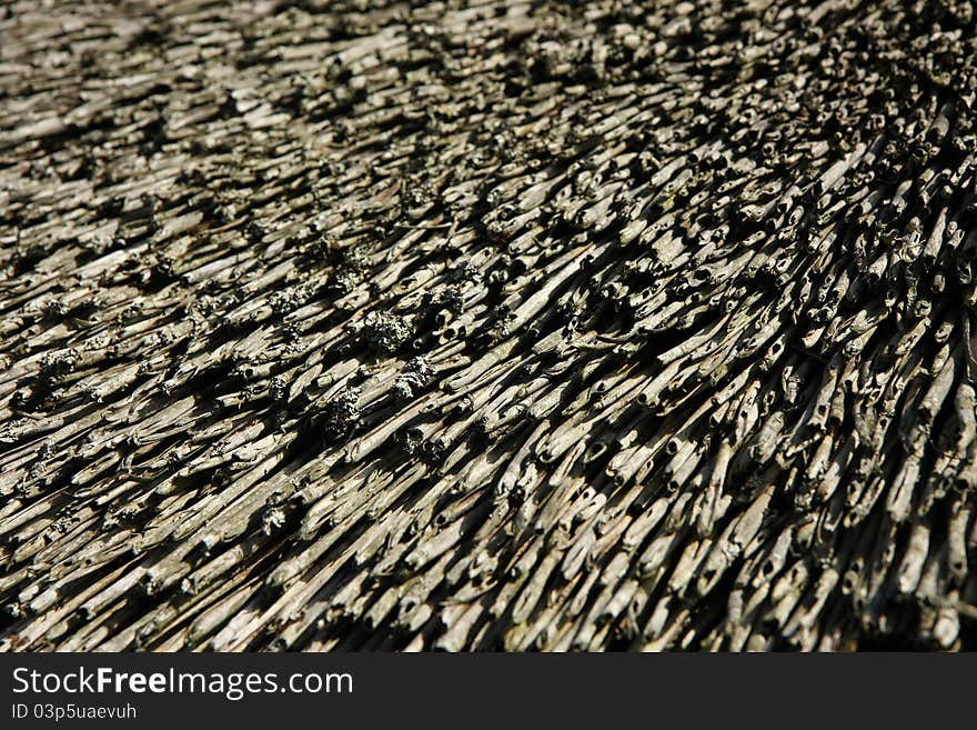 Dried straw on a thatch, commonly used for old style roofs. Dried straw on a thatch, commonly used for old style roofs.