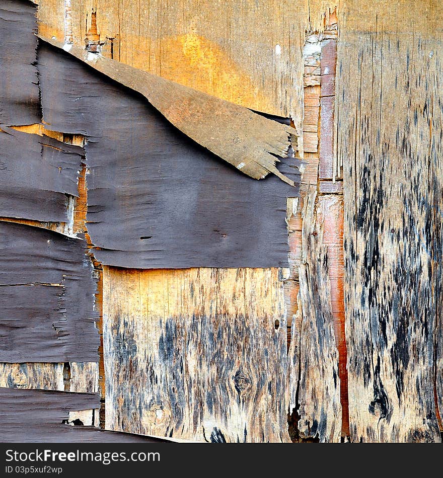 Multicolored weathered and destroyed wood wall. Multicolored weathered and destroyed wood wall